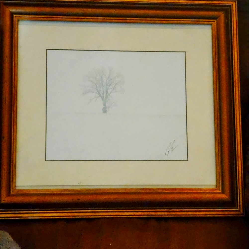 Limited art piece of a sketch of a tree is valued at over $1000